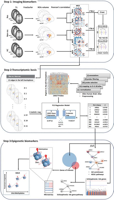 Frontiers Predictive Biomarkers For Antipsychotic Treatment Response