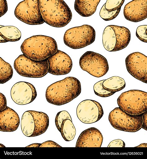 Potato Seamless Pattern Hand Drawn Food Royalty Free Vector