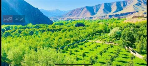 تصاویری از ولسوالی زیبای سیاگرد پروان خبرگزاری شیعیان افغانستان