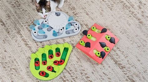 The 3 Best Cat Puzzle Toys And Interactive Cat Games