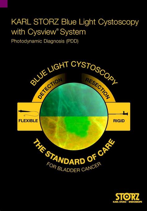 PDF KARL STORZ Blue Light Cystoscopy With Cysview System KARL STORZ