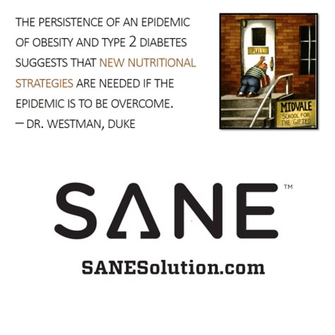 The Persistence Of An Epidemic Of Obesity | SANESolution