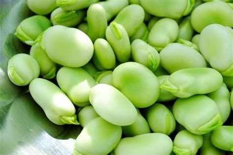 Fava Beans Top Health Benefits And Side Effects You Need To Know