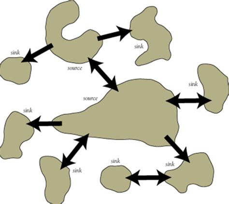 Ecology Ch. 12 Metapopulations Flashcards | Quizlet