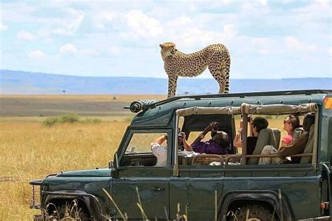 4 Days Private Safaris In Tarangire Ngorongoro And Serengeti