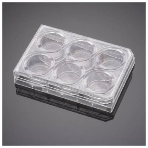 Corning BioCoat Control Insert PET Membrane Cell Culture Utensils