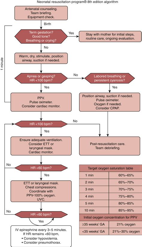 Neonatal Resuscitation Program® Wall Chart 8th Edition Aed 52 Off