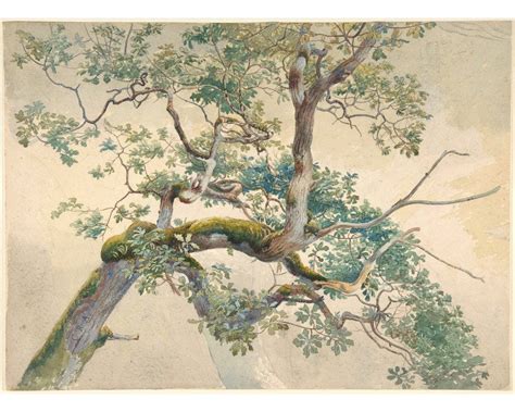 Antique Tree Art Print Vintage Tree Branches Watercolor Painting