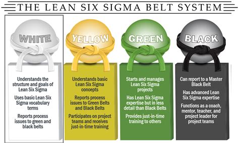 Provides Lean Six Sigma Green Belt Training Certification