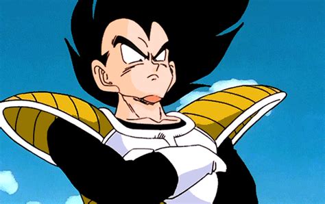 Vegeta Daily