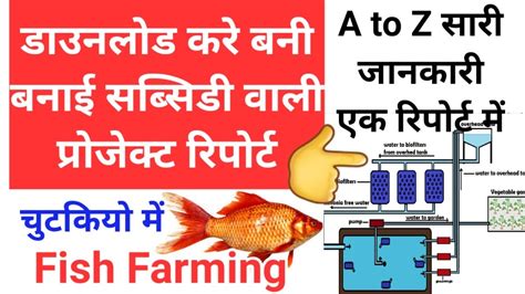 Fish Farming Project Report In Hindi Knowledge Kosh Youtube