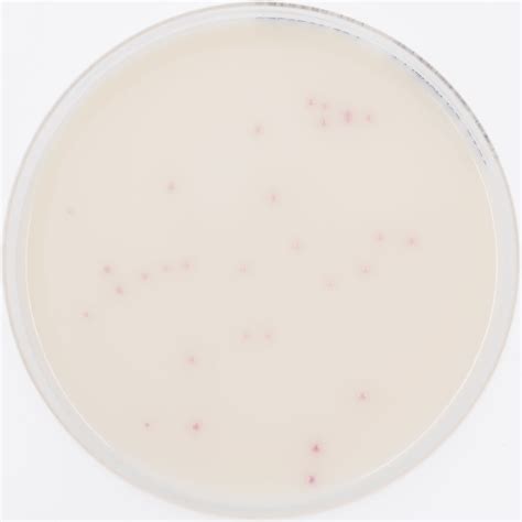 Reference Material For IRIS Salmonella BiosistoStandard