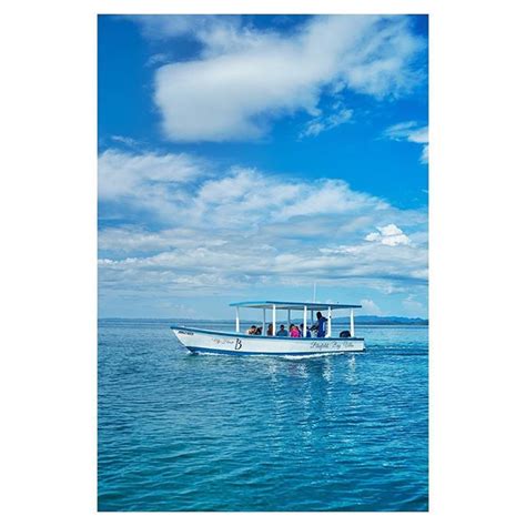 Our 30 Foot Glass Bottom Boat Is Perfect For Experiencing The Nearby Coral Reefs And Colorful