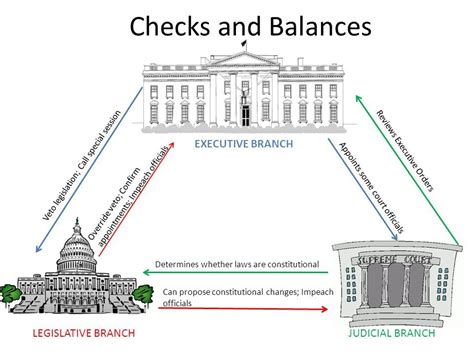 Checks And Balances Chart