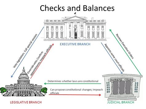 Checks And Balances Chart