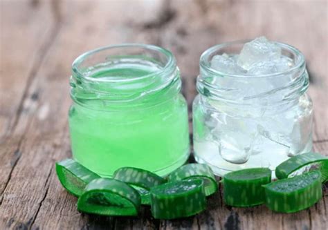 Gel de aloe vera Cómo utilizarlo correctamente Infoagro