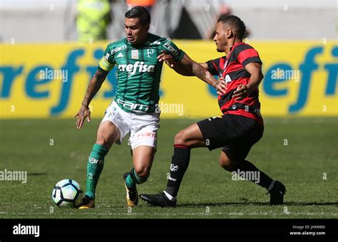 Palmeiras Champions Hi Res Stock Photography And Images Alamy