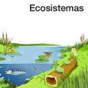 Ecosistemas Duchazos Juego Educativo Ciencias Mobbyt