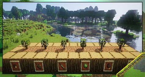 Dynamic Trees Mod 1.16.5 - Minecraft PC