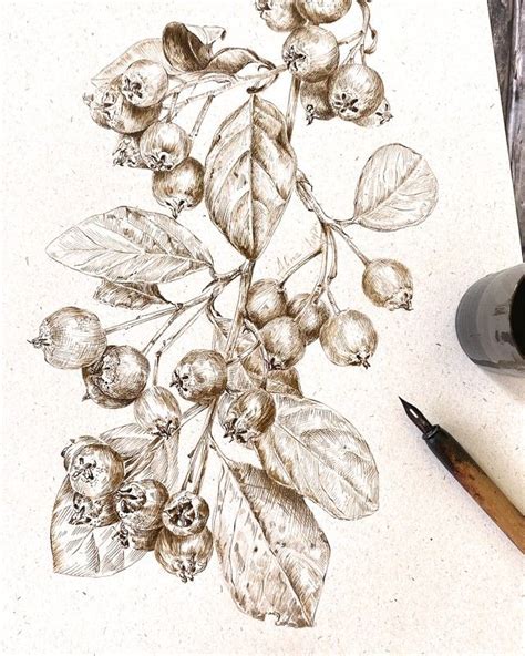 Alina Lupu On Instagram Everything You Wanted To Know About Drawing