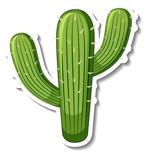 Free Vector Saguaro Cactus Plant On White Background Cacto Fotos