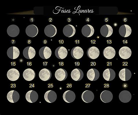 Fases De Luna 2024 Image To U