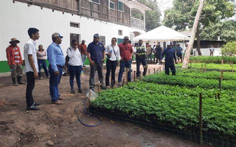 Familias Inauguran Vivero Forestal En Juigalpa