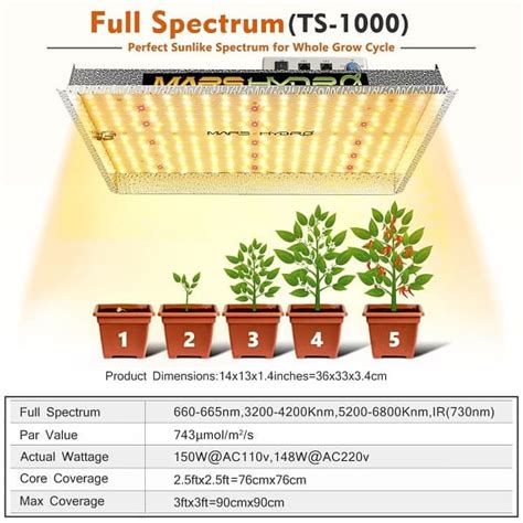 Mars Hydro TS 1000 Grow Light Review [2023 Edition] | Succulent Alley