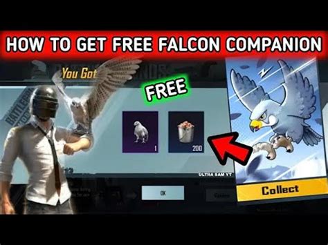 How To Get Free Falcon In Pubgm How To Get Free Companion In Bgmi