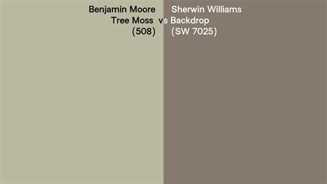 Benjamin Moore Tree Moss 508 Vs Sherwin Williams Backdrop SW 7025