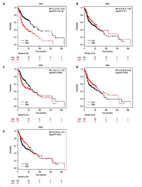 A E Prognostic Value Of The MRNA Expression Of Distinct DKKs In HNSCC