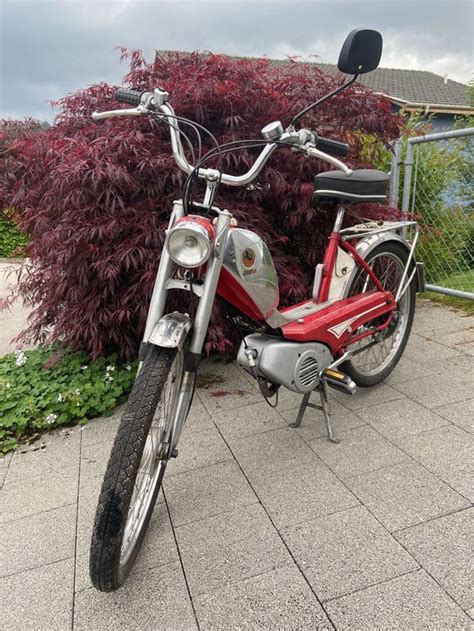 Sachs Pony 503 junior Hg mofa töffli Kaufen auf Ricardo