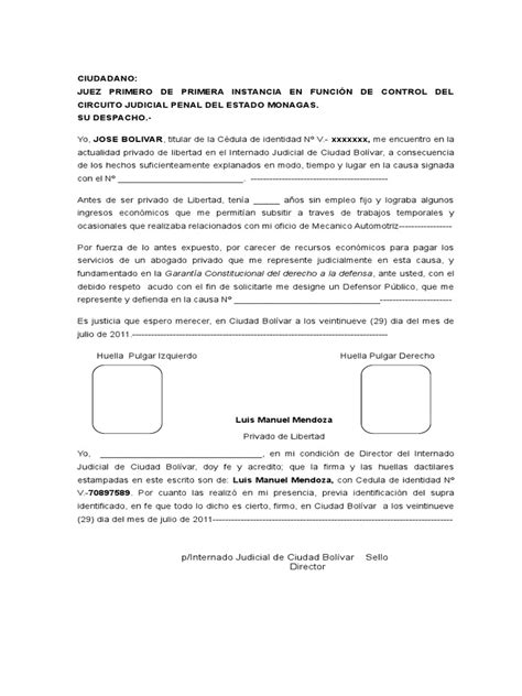 Formato Modelo Ejemplo Solicitud De Nombramiento De Defensor Publico