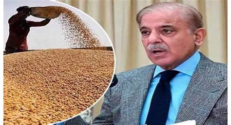 Pm Forms Inquiry Committee To Probe Matter Of Wheat Import Urdupoint