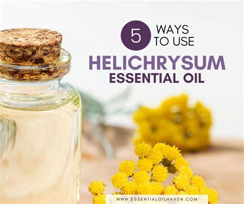 How To Use Helichrysum Essential Oil Top 5 Benefits