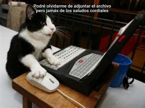 Podré olvidarme de adjuntar el archivo pero jamás de los saludos