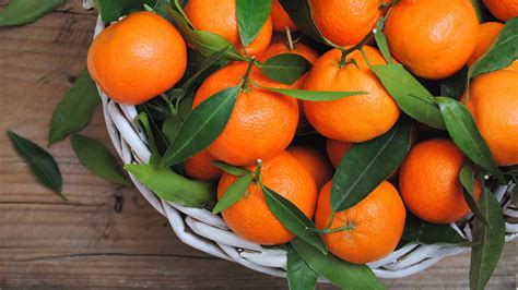 Fondos De Pantalla X Frutas C Tricas Mandarino De Cerca Follaje