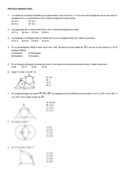 Solution Pr Ctica Dirigida Final Studypool