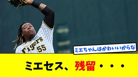 阪神ミエセスが来季残留へ対応力と懸命で前向きな姿勢を評価【なんj反応集】【5chスレ】【2chスレ】【プロ野球】 Youtube