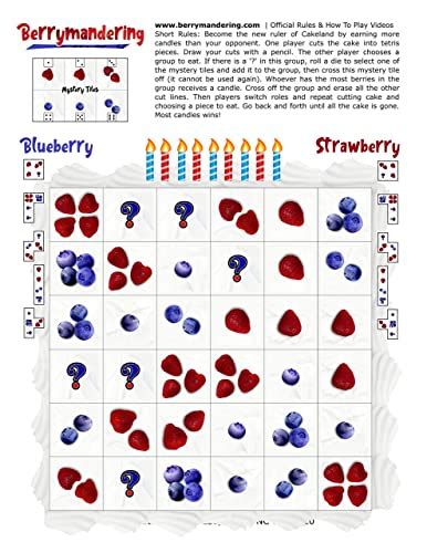 Election Gerrymandering Strategy Game Berrymandering 2 Player