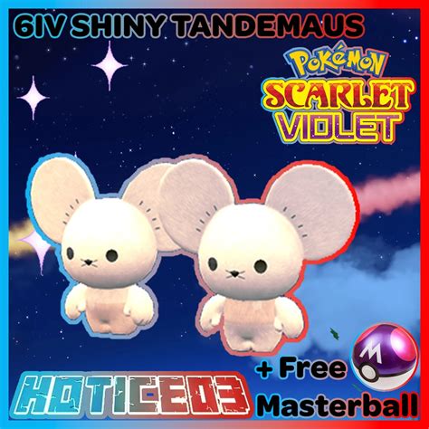 Pokemon Scarlet Violet Shiny Tandemaus Max Stats 6IV Master - Etsy