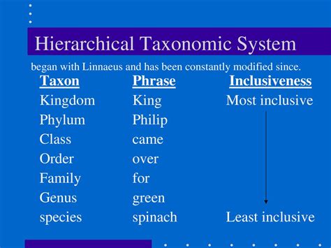 Classification Diversity Of Life Ppt Download