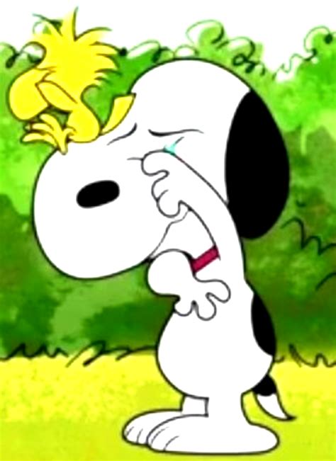 Snoopy E Woodstock Chorando Juntos By Bradsnoopy97 On Deviantart