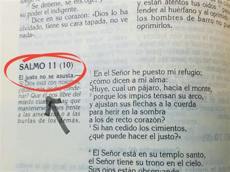 C Mo Leer Los Salmos Su Profunda Sabidur A Iglesia Del Pilar