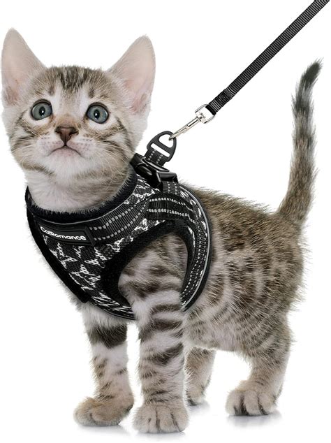 Pet Supplies CatRomance Cat Harness And Leash Escape Proof Kitten