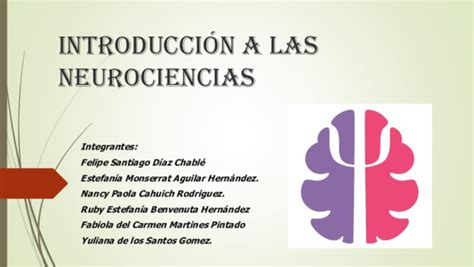 Ppt Introducción A Las Neurociencias