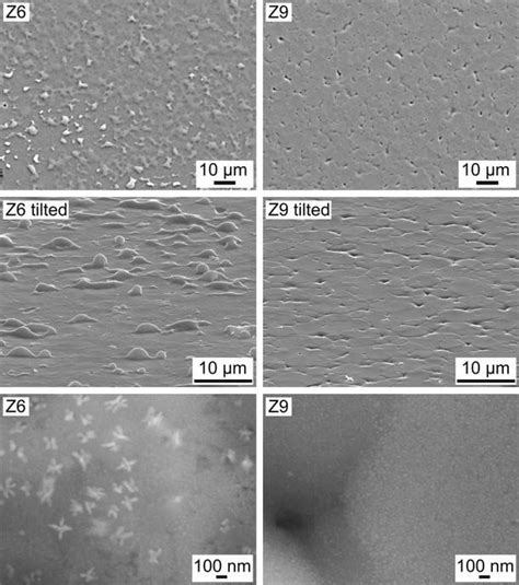 Sem Micrographs Of The Surfaces Of The Glass Ceramics Z6 Left And Z9 Download Scientific