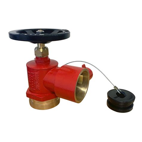 Bic Hydrant Landing Valve Rg Bsp Female Inlet