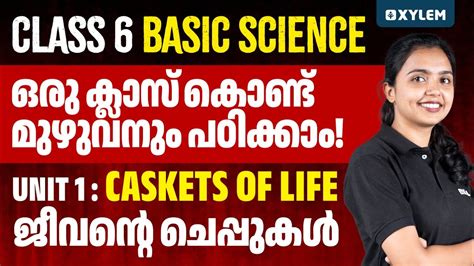 Class Basic Science Unit Caskets Of Life