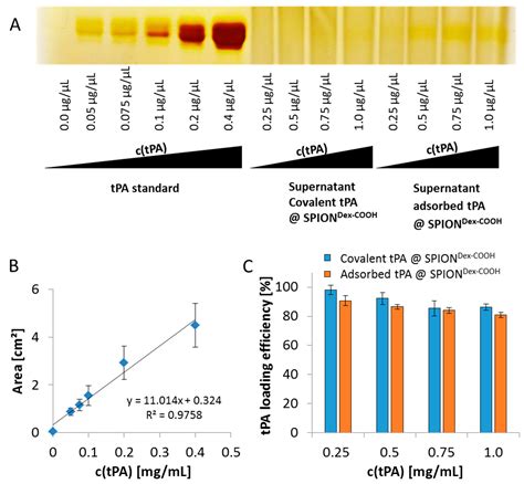 Ijms Free Full Text Synthesis And Characterization Of Tissue